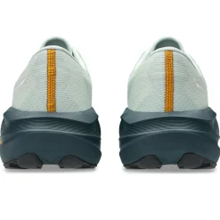 Asics Novablast 5 TR Løbesko, Herre