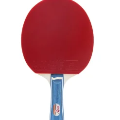 Double Fish 1D-C 3* Bordtennisbat
