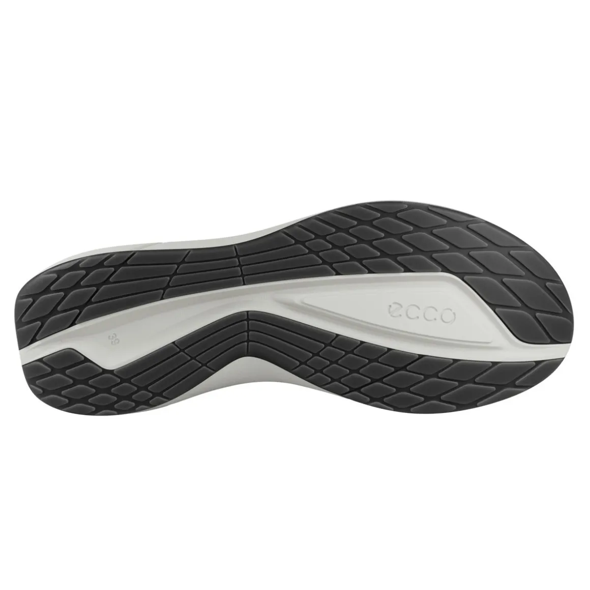 Ecco Biom 2.2 Læder Gore-Tex Damesko