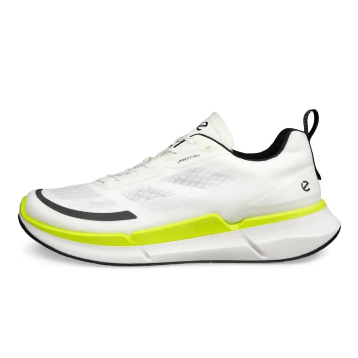 Ecco Biom 2.2 Low Herresko