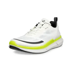 Ecco Biom 2.2 Low Herresko