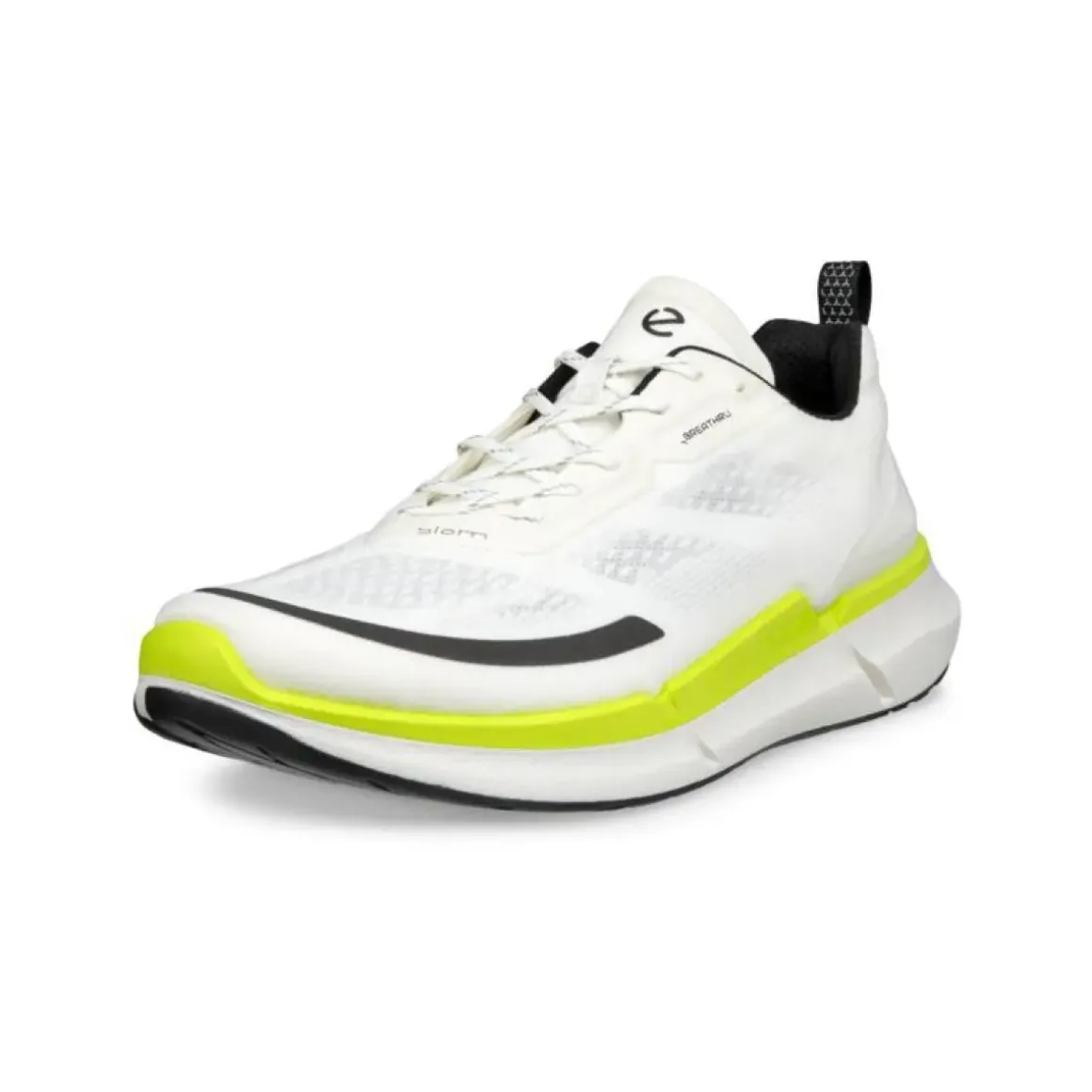 Ecco Biom 2.2 Low Herresko