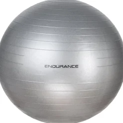 Endurance Gym Ball 65 cm