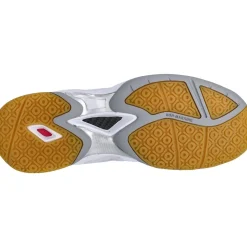 FZ Forza Vibee Badmintonsko Herre