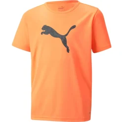 Puma individualRISE Logo Jr T-shirt Børn