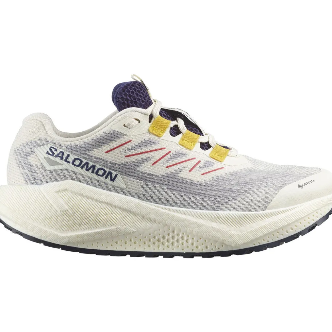 Salomon Aero Blaze 3 GRVL Gore-Tex Løbesko Dame