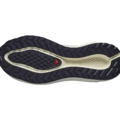 Salomon Aero Blaze 3 GRVL Gore-Tex Løbesko Dame