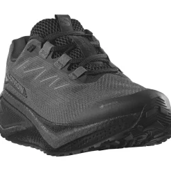 Salomon Aero Blaze 3 GRVL Gore-Tex Løbesko Herre