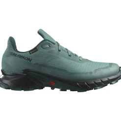 Salomon Alphacross 5 Gore-Tex Herresko