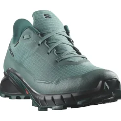 Salomon Alphacross 5 Gore-Tex Herresko