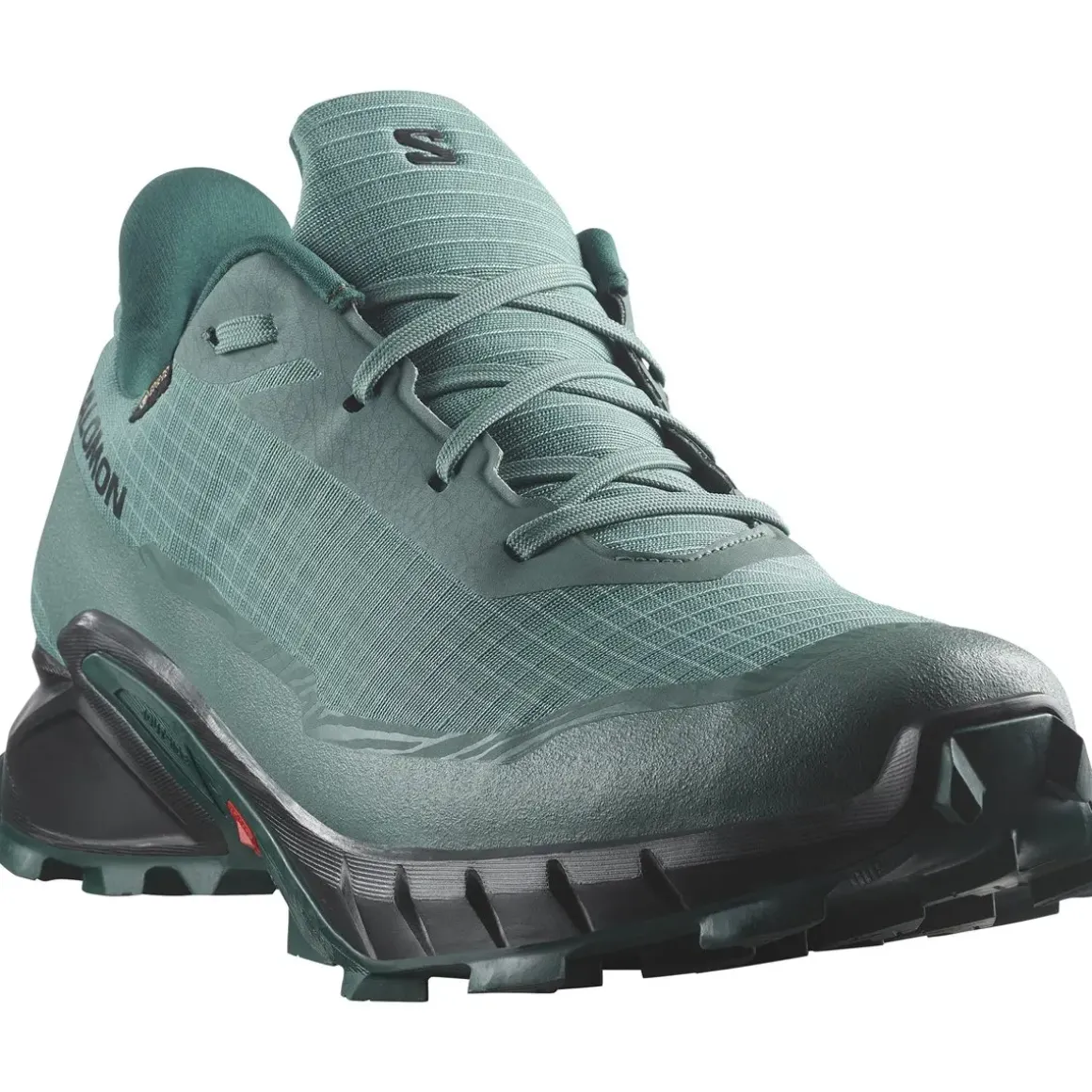 Salomon Alphacross 5 Gore-Tex Herresko