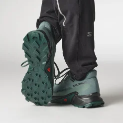 Salomon Alphacross 5 Gore-Tex Herresko