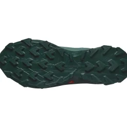 Salomon Alphacross 5 Gore-Tex Herresko