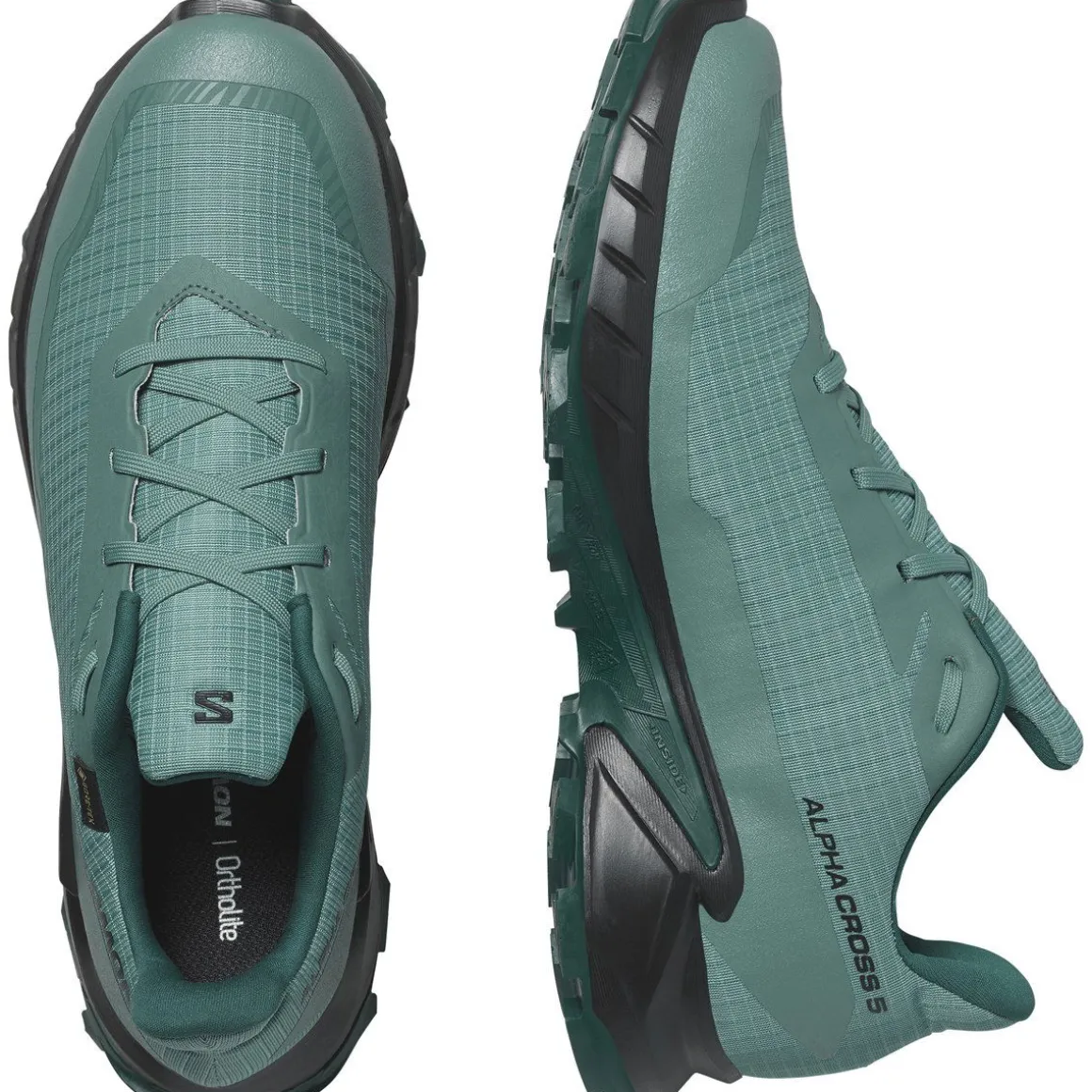 Salomon Alphacross 5 Gore-Tex Herresko