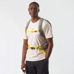 Salomon Trailblazer 20 Hiking Rygsæk, sedona sage