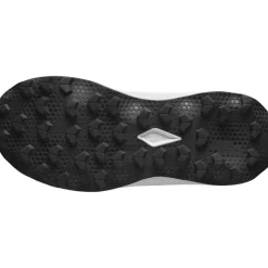 Salomon Ultra Flow 2 Løbesko Dame