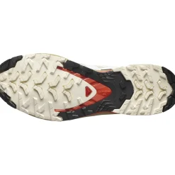 Salomon XA PRO 3D Version 9 Herresko