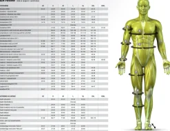Select Profcare 6204 Knæbind Med Sideskinner