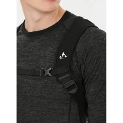 Whistler Iguchi Rygskjold