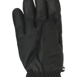 Zanier Lady Gore-Tex Skihandsker Dame